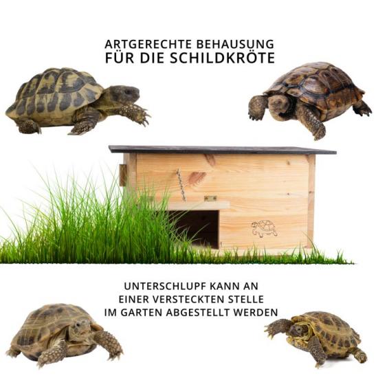 Preview: Woid Herz Premium Schildkrötenhaus (SH2) lasiert aus 20mm starken Vollholz